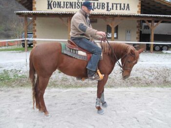 Mehčanje in uporaba western konja