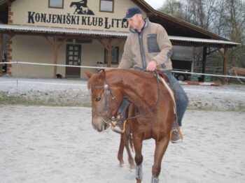 Mehčanje in uporaba western konja