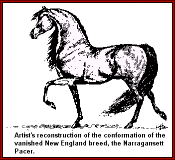 Narragansett