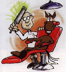 dentistvisit
