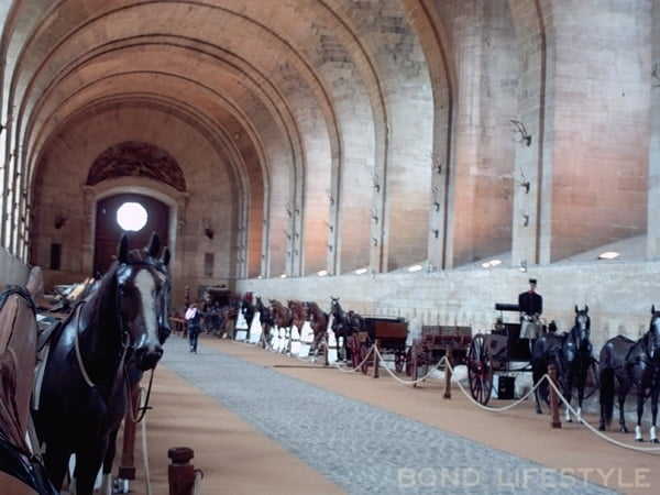 tr021-chateau-de-chantilly-horses