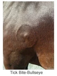 1 1
