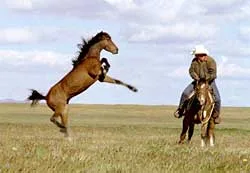 Monty Roberts 5 montyroberts4