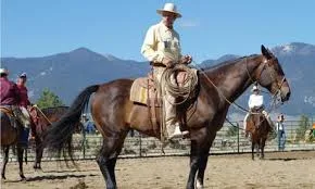 Buck Brannaman 3 prenos (1)