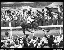Phar Lap, Nebesna Strela 4 Prijatelj ljudi