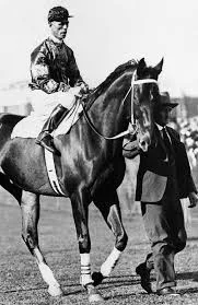Phar Lap, Nebesna Strela 6 prenos (4)