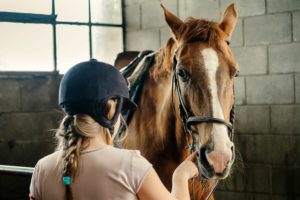 Horse and girl