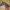 12191776_10206191038907594_2442574193594154473_n 12191776_10206191038907594_2442574193594154473_n