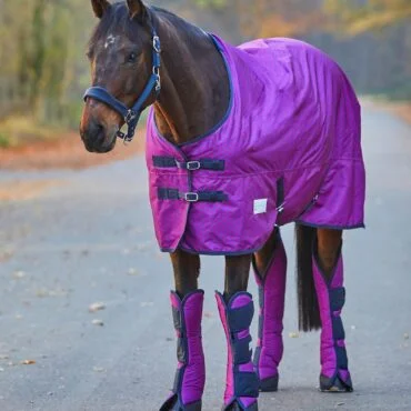 Waldhausen transportni ščitniki Unicorn Hearts 3