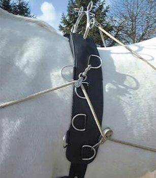 Waldhausen lonžirni pas, usnjen 3