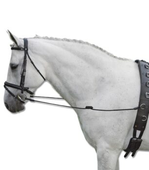 Stranske vajeti, usnjene 3