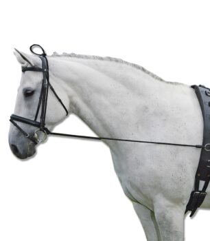 Pašček za uporabo pomožnih vajeti 3