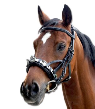 Felix Brasseur lonžirni pas 3