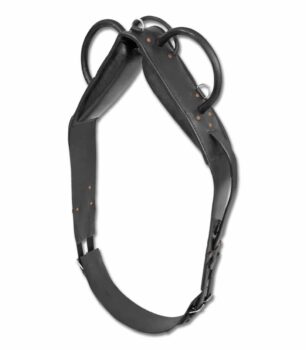 Waldhausen lonžirni sistem 3