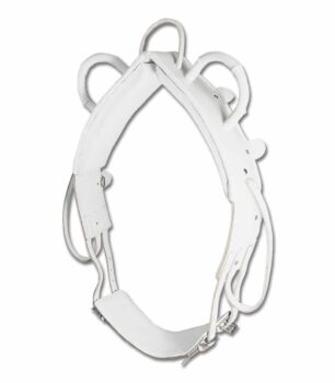 Star voltežirni ali lonžirni pas 3