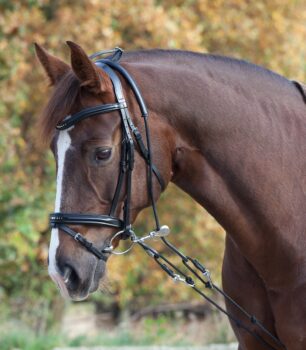 Karabin za lonžirni sistem 3