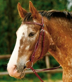 Waldhausen western vajeti, deljene 3