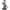Waldhausen dvojna uzda S-Line Blackburn 3 Waldhausen dvojna uzda S-Line Blackburn 3