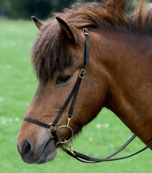 Čelnik X-Line Summer 19 3