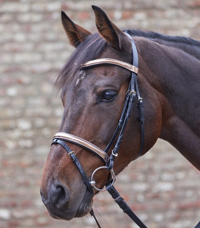 Waldhausen uzda Star Roségold 7