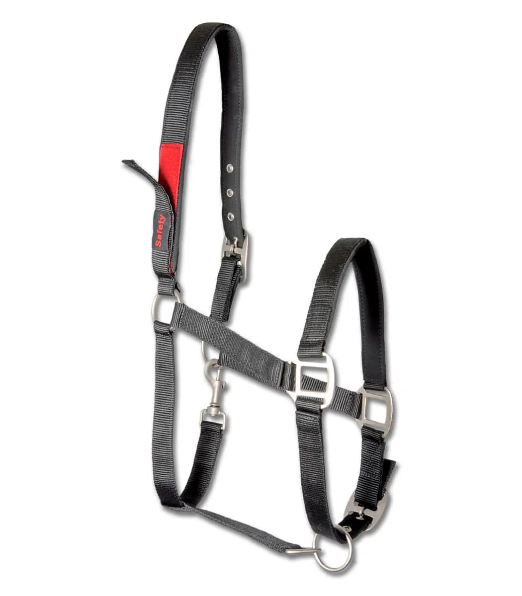 Waldhausen varnostna oglavka Premium 7