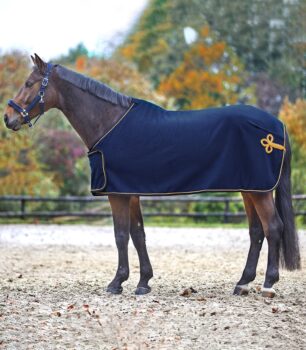 Waldhausen flis pregrinjalo za sprehajalno napravo Economic 3