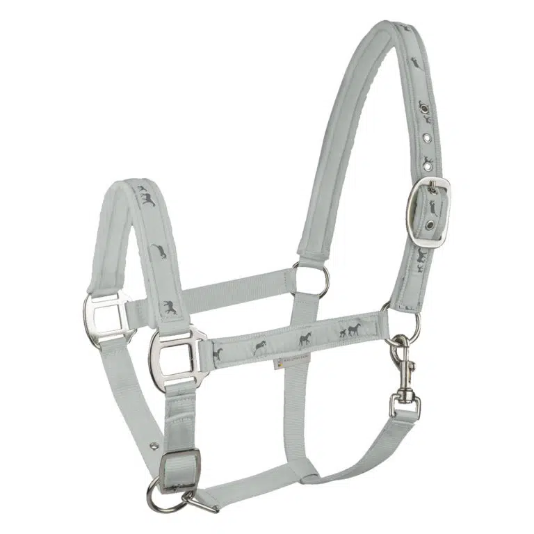 Waldhausen oglavka Little Horses 12