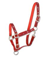 Waldhausen oglavka Little Horses 13