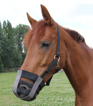 Waldhausen nastavljiv nagobčnik 3