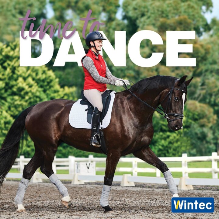 Wintec 500 DRESSAGE WIDE sedlo 10