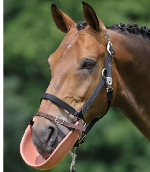 Waldhausen Bolt-snap karabin 3