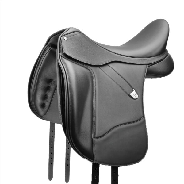 Bates Dressage 31