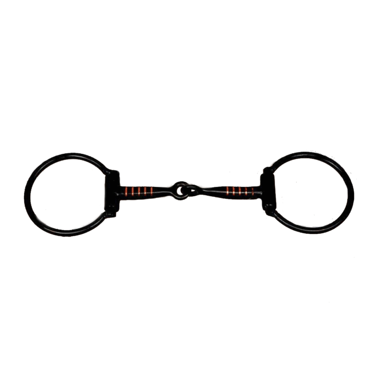 Snaffle D-ring brzda, železna, z bodatkom barka 3