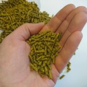 The Golden Paste Co. TurmerAid peleti, 2 kg 9 The Golden Paste Co. TurmerAid peleti, 2 kg 9