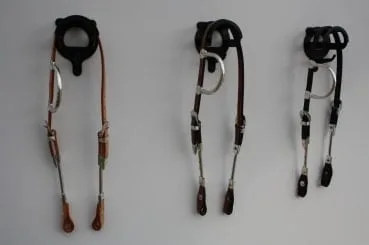 EE Tack western uzda Silver Side Pipe’s, na eno uho 3