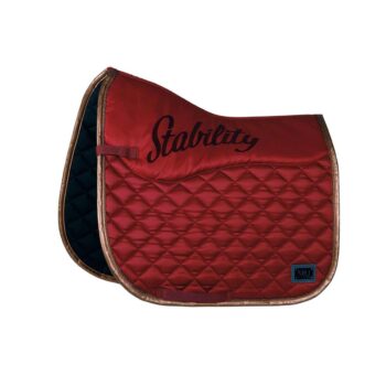 HH dresurna podsedelnica Competition 3