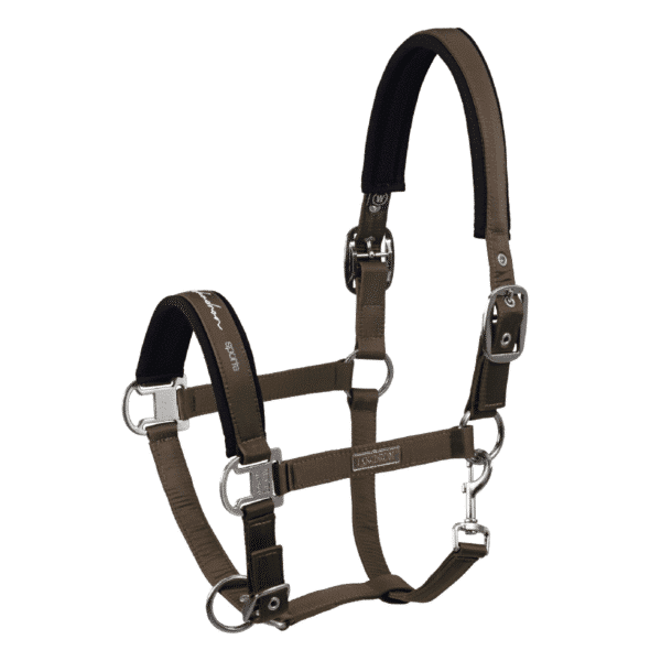 Eskadron oglavka Glossy Double Pin