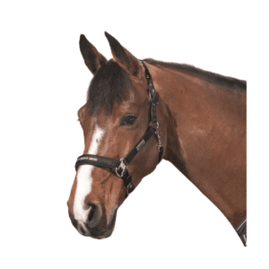 Eskadron oglavka Classic Sports 16 Eskadron oglavka Classic Sports 16