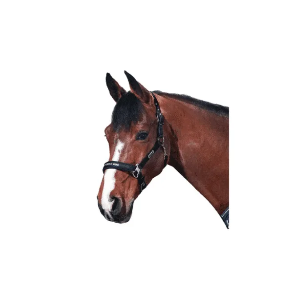 Eskadron oglavka Classic Sports 3