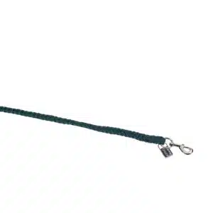 Eskadron povodec 29