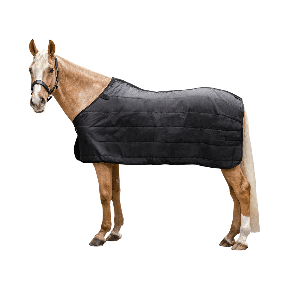 Waldhausen termo podpregrinjalo Economic, 200 g 6 Waldhausen termo podpregrinjalo Economic, 200 g 6