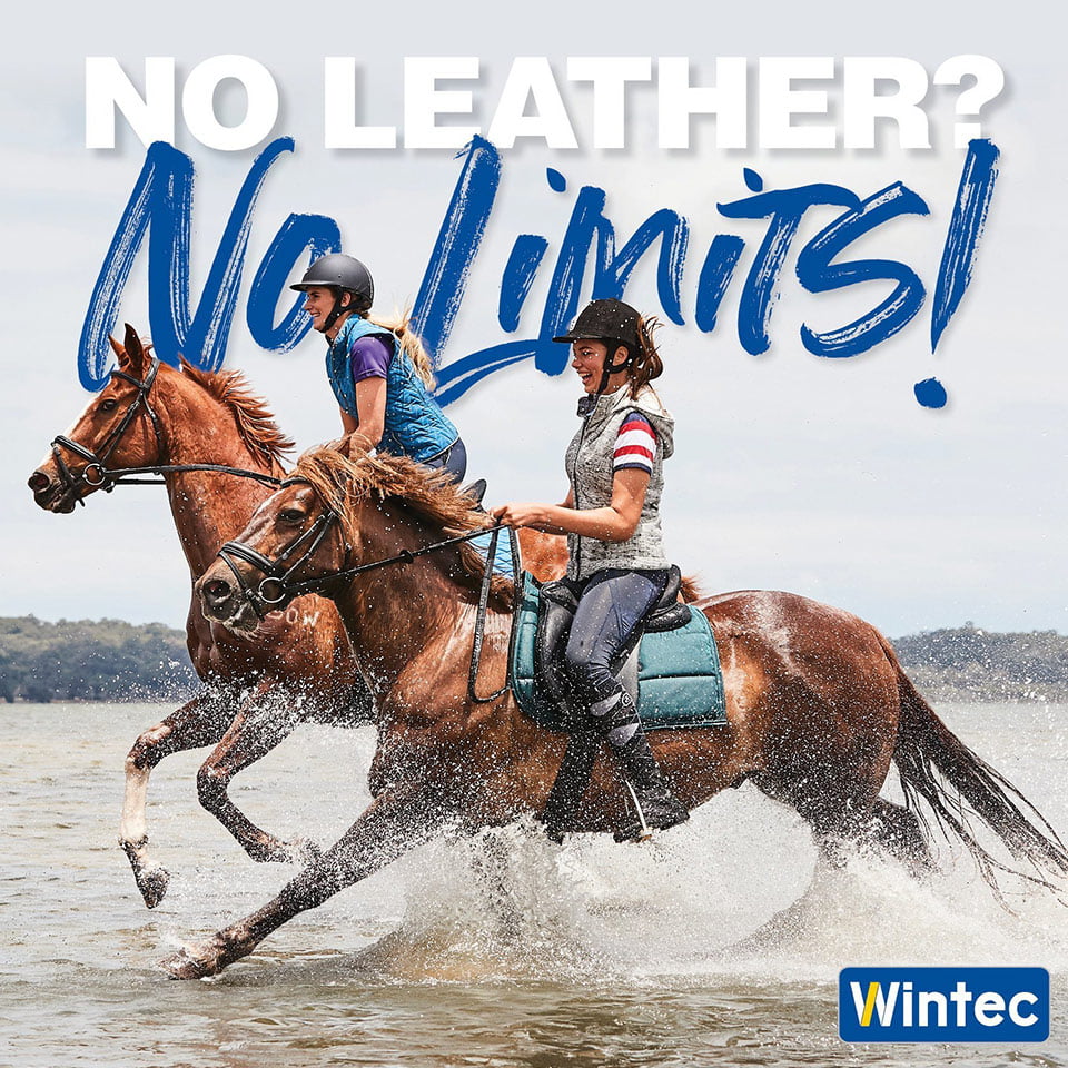 wintec-banner2021 Domov