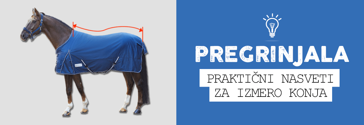 QHP pregrinjalo Basic, z vratnim delom 6