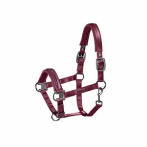 Eskadron oglavka Doublepin Glossy Crystal CS 21 11 Eskadron oglavka Doublepin Glossy Crystal CS 21 11