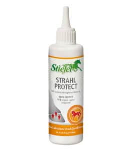 Eskadron podsedelnica Softshell Avantgarde CS 21 3