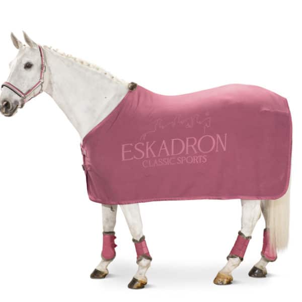 Eskadron flis pregrinjalo Stamp CS 21