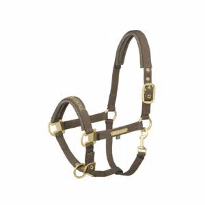 Eskadron oglavka Pin buckle Heritage 21/22 11 Eskadron oglavka Pin buckle Heritage 21/22 11
