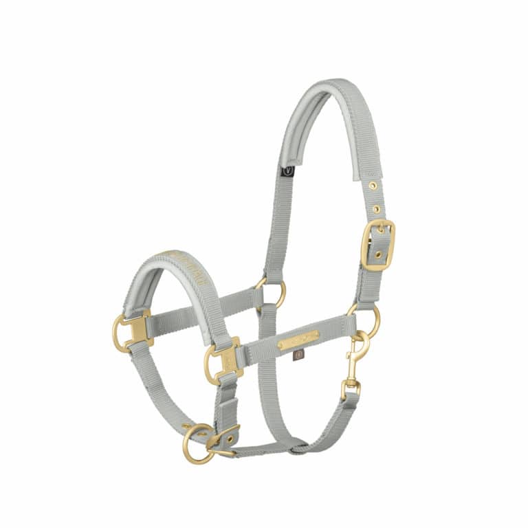 Eskadron oglavka Pin buckle Heritage 21/22 6