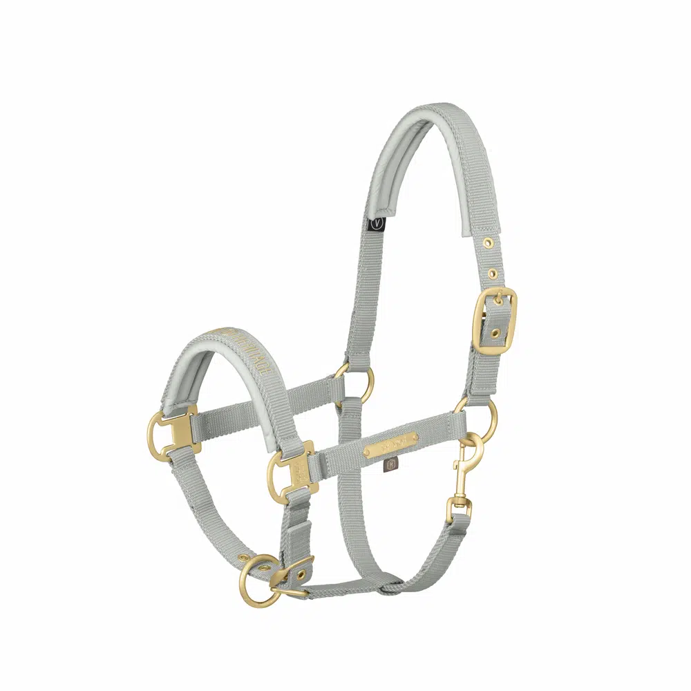 Eskadron oglavka Pin buckle Heritage 21/22 6
