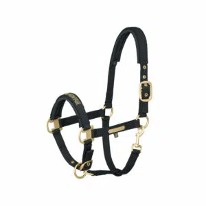 Eskadron oglavka Pin buckle Heritage 21/22 12 Eskadron oglavka Pin buckle Heritage 21/22 12